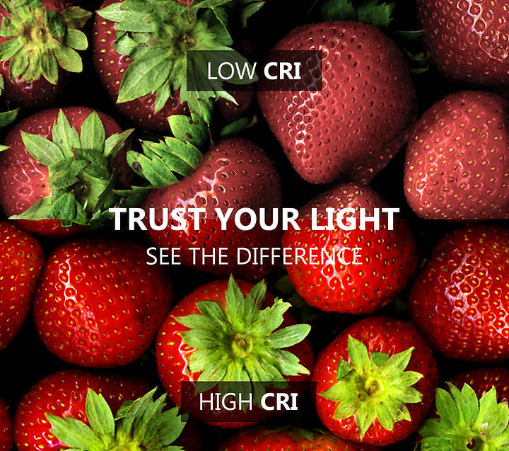 Cold LED Light Source for Endoscopy with 80W High Power